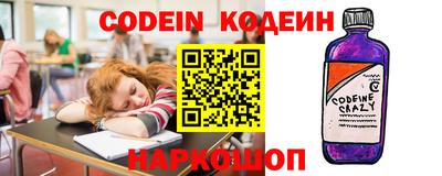 индика Можга
