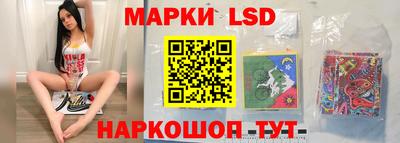 индика Можга