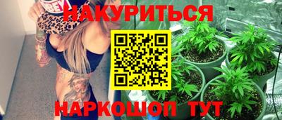 индика Можга