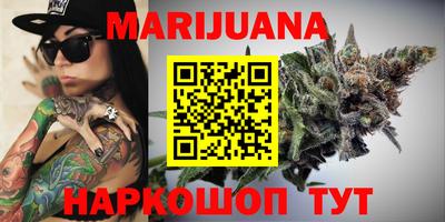 индика Можга