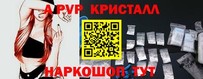 индика Можга
