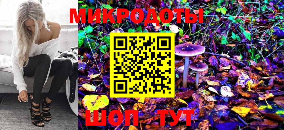Псилоцибиновые грибы GOLDEN TEACHER Богородицк