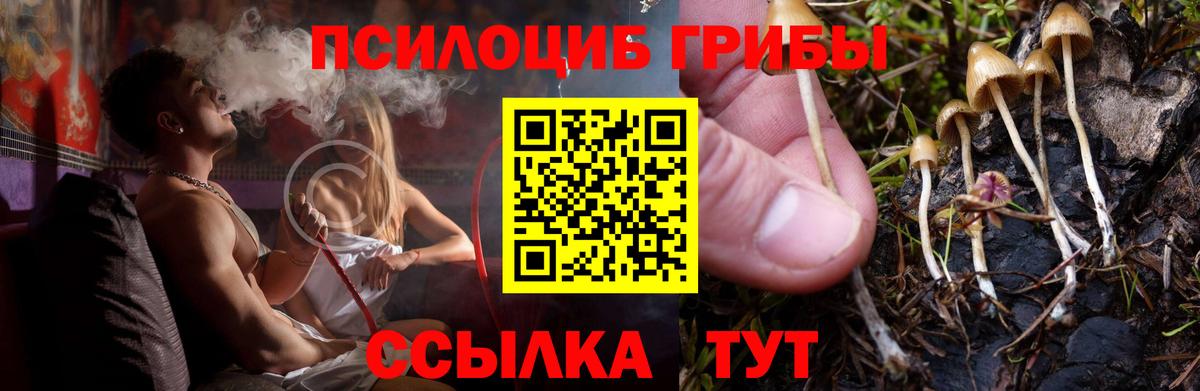 закладка  Галлюциногенные грибы ЛСД  Вход с VPN  Галлюциногенные грибы Psilocybine cubensis  Богородицк 